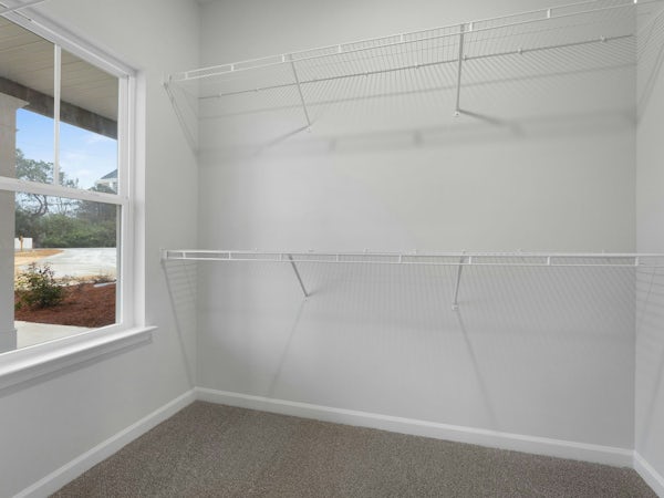 Gallery Photo 19