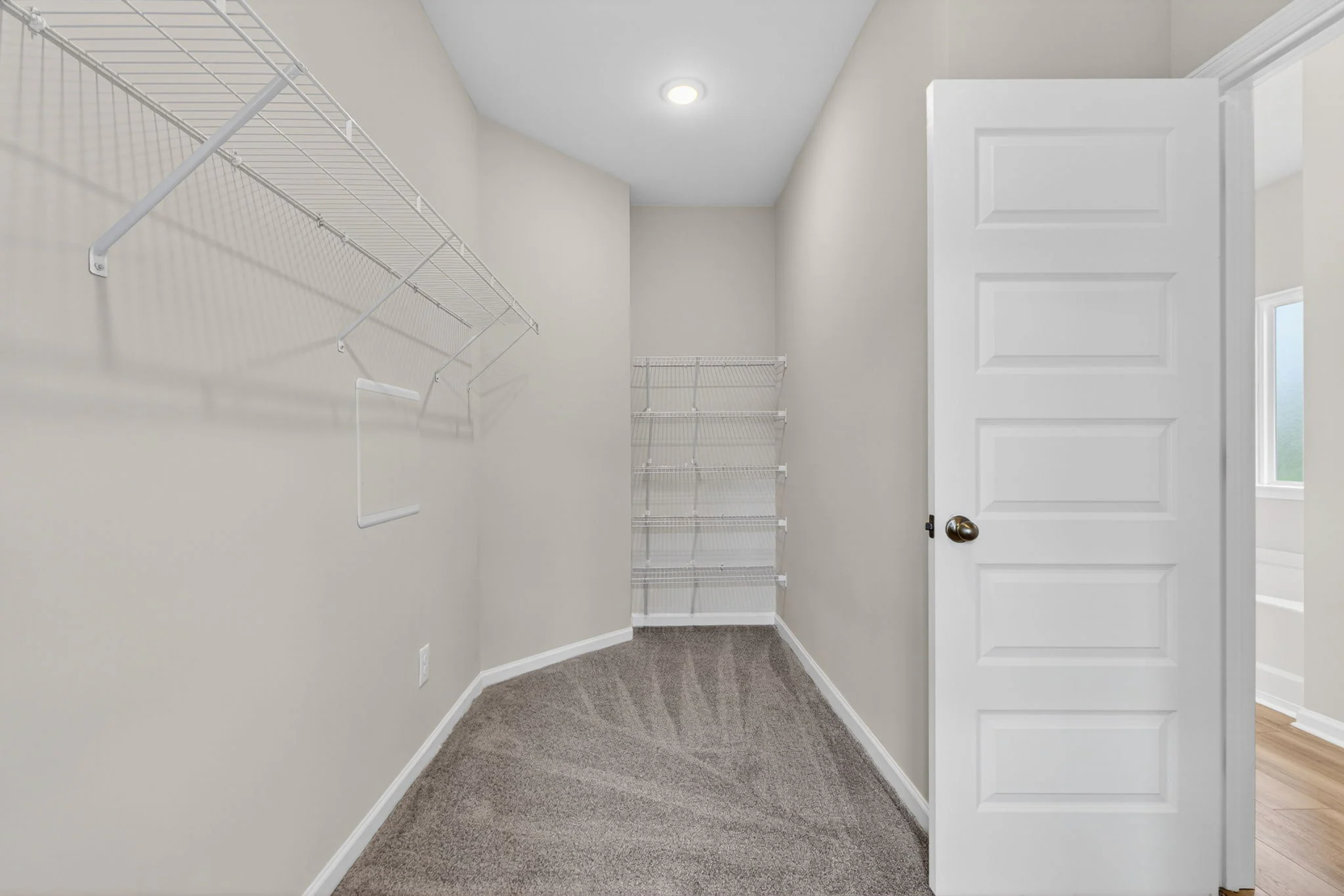 Gallery Photo 19