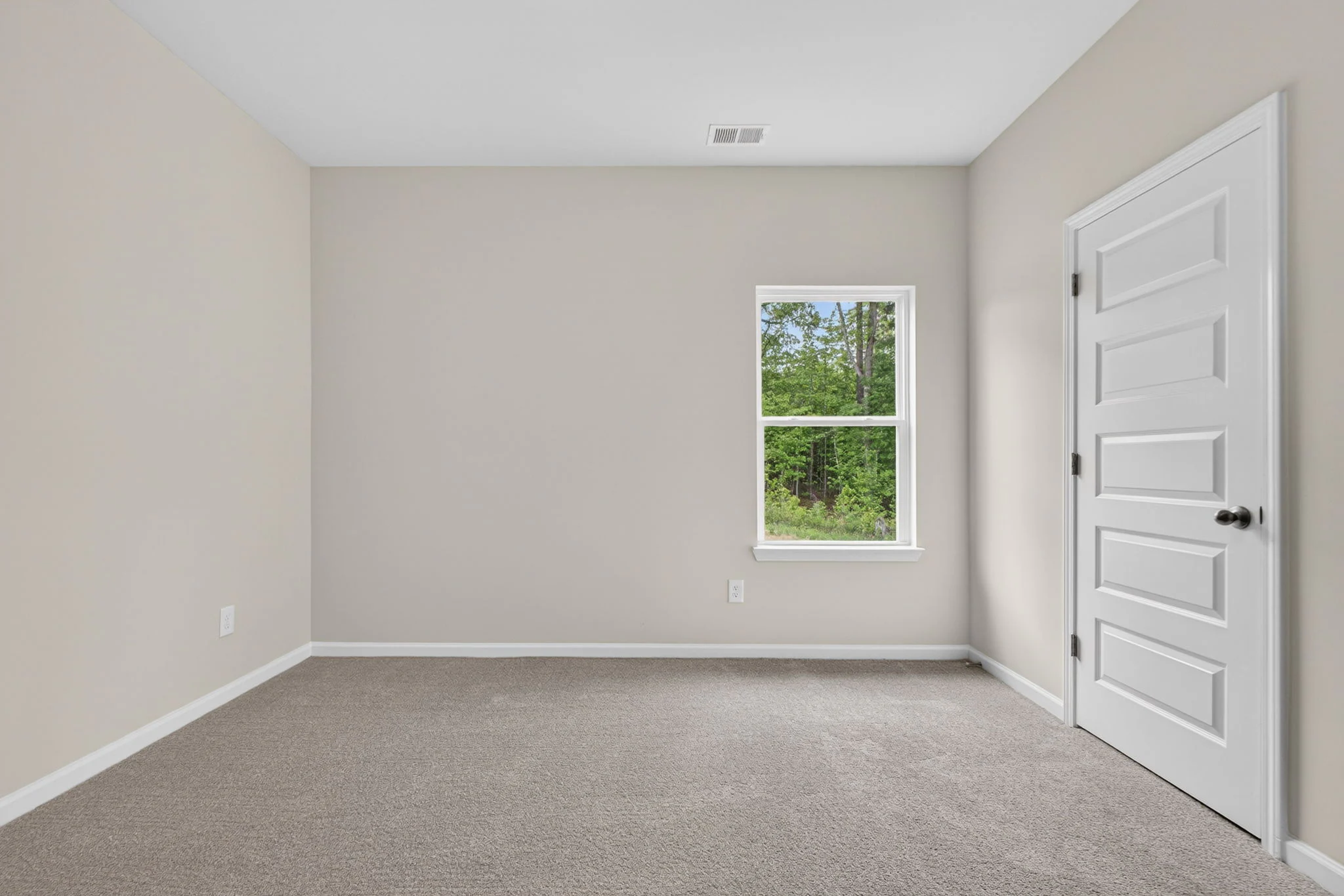 Gallery Photo 15