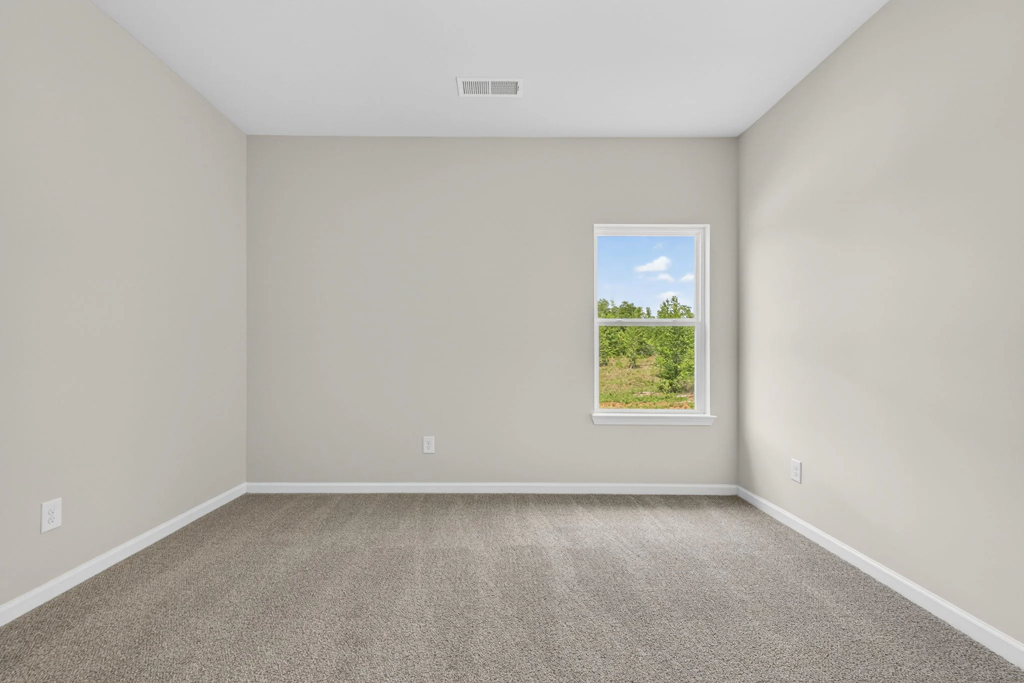 Gallery Photo 17