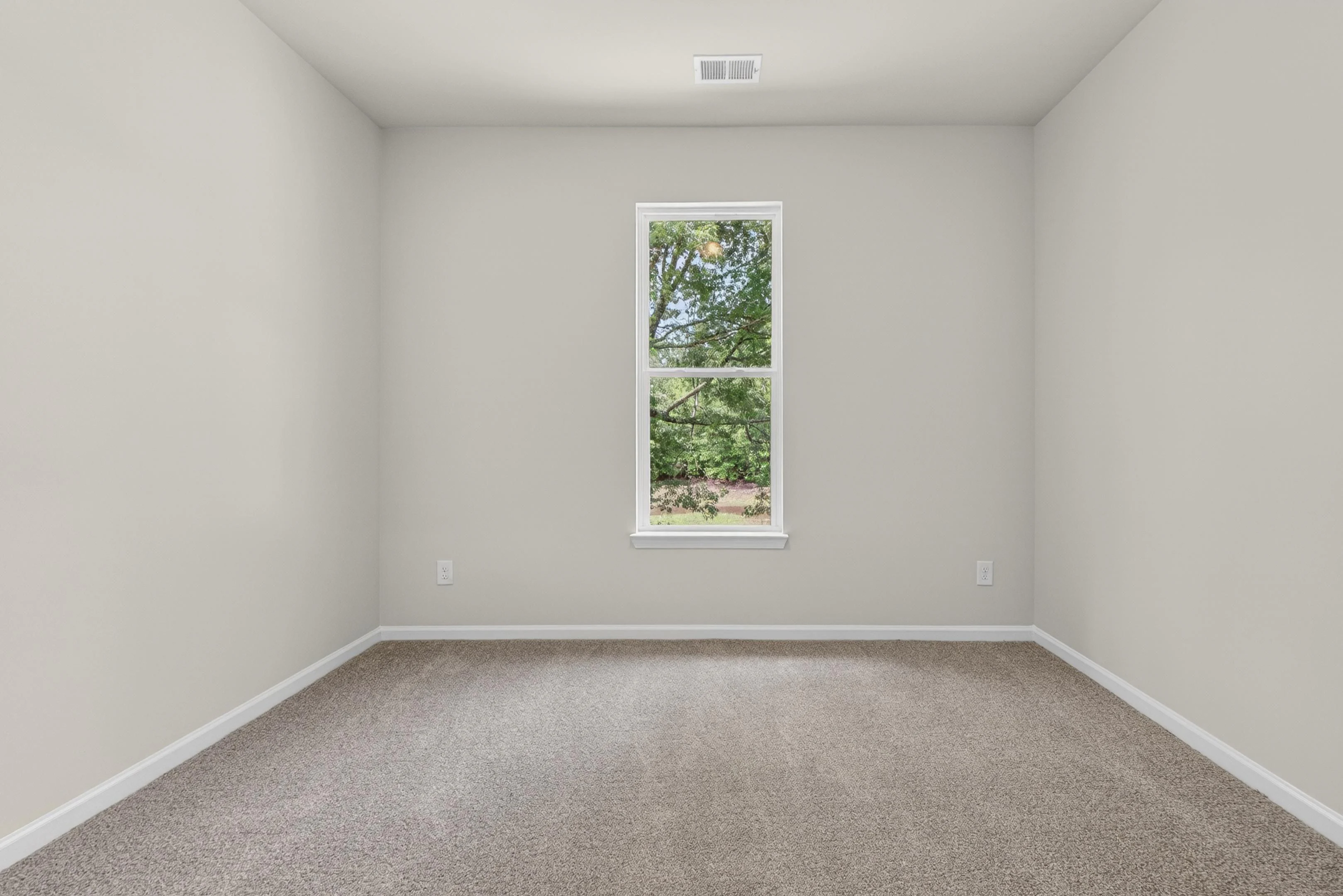 Gallery Photo 15