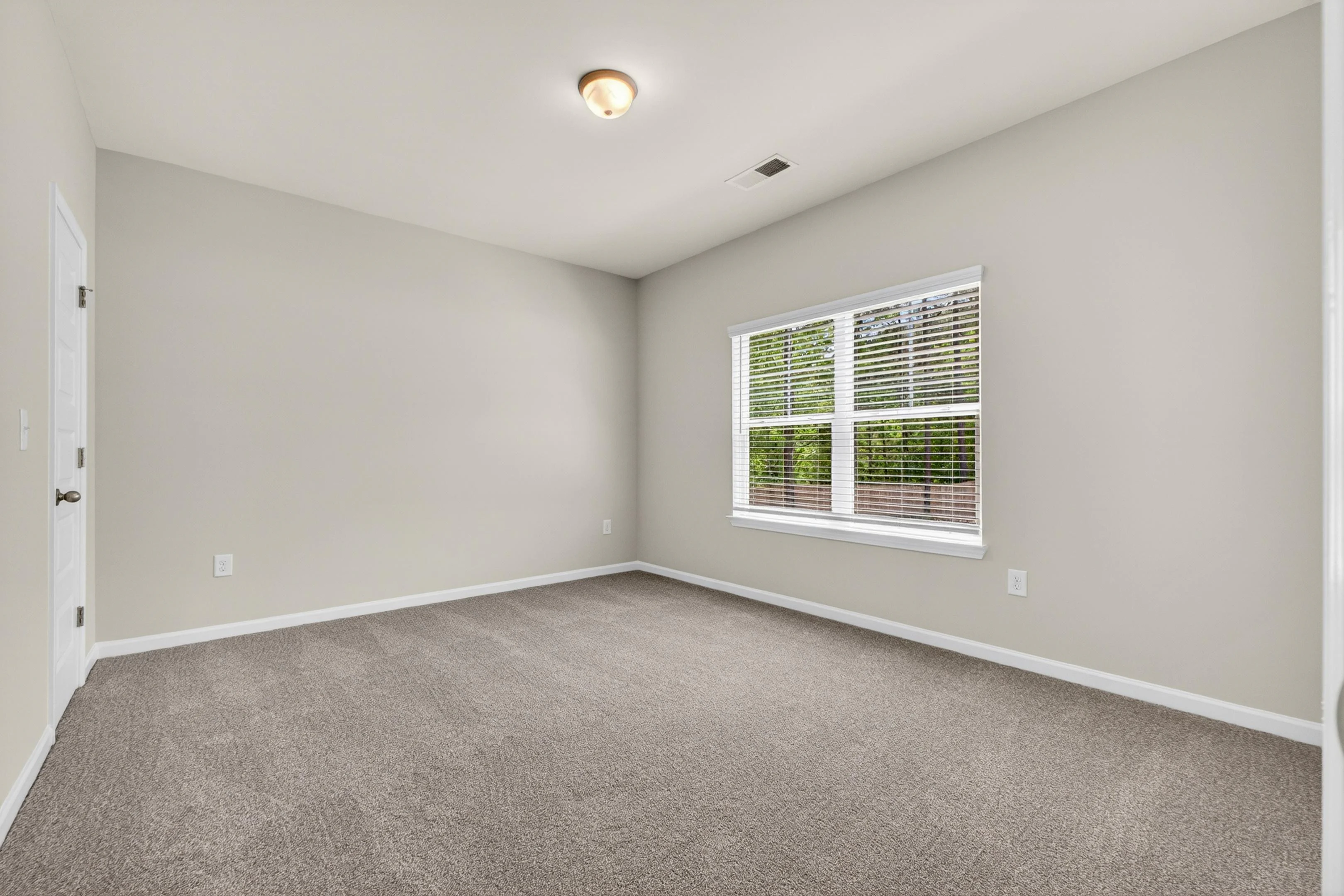 Gallery Photo 37