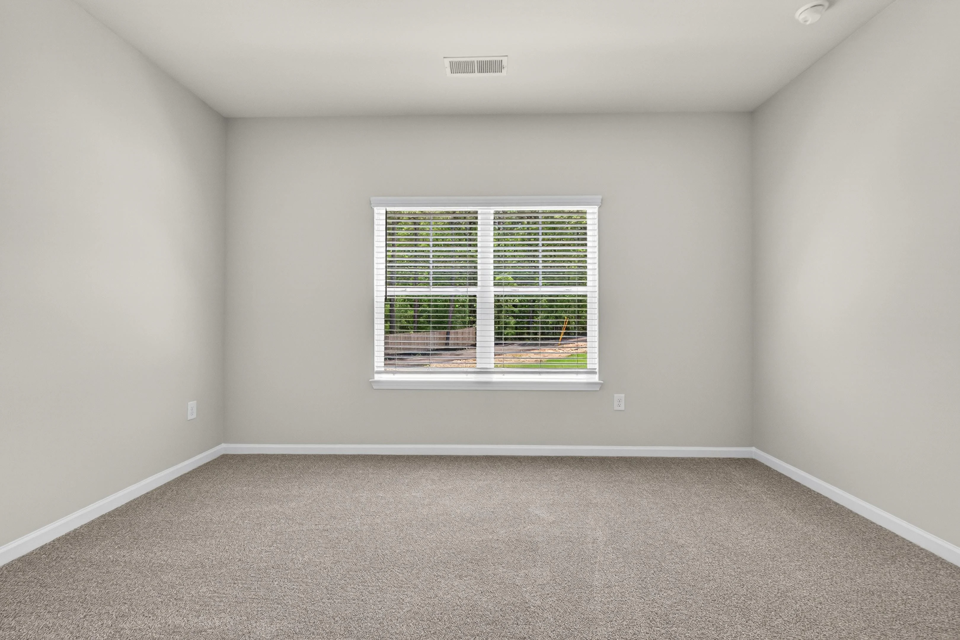 Gallery Photo 36
