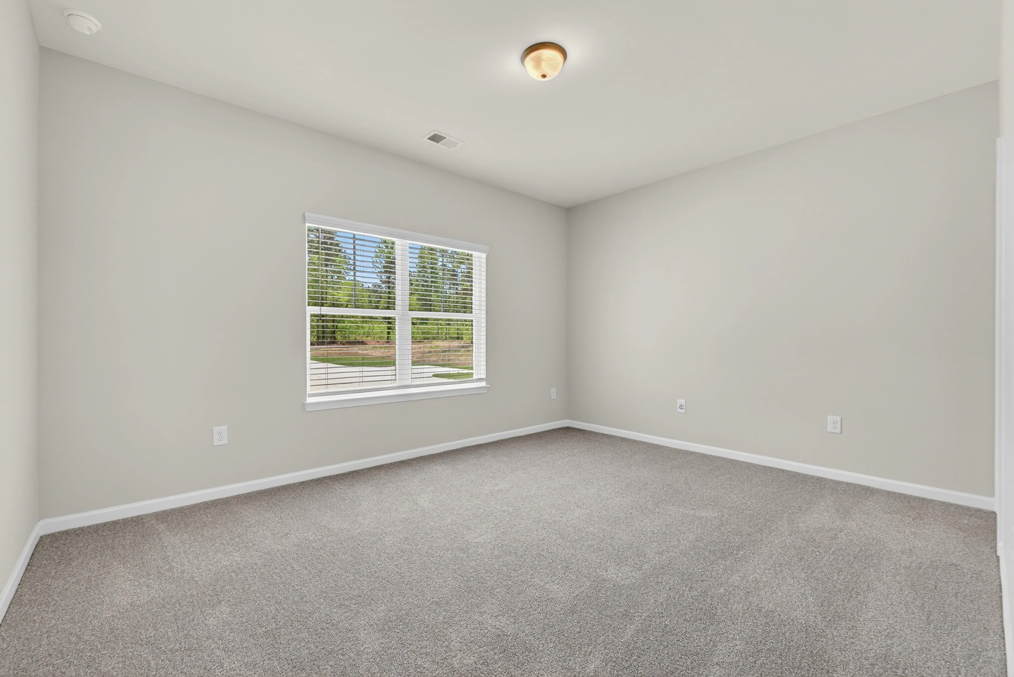 Gallery Photo 7