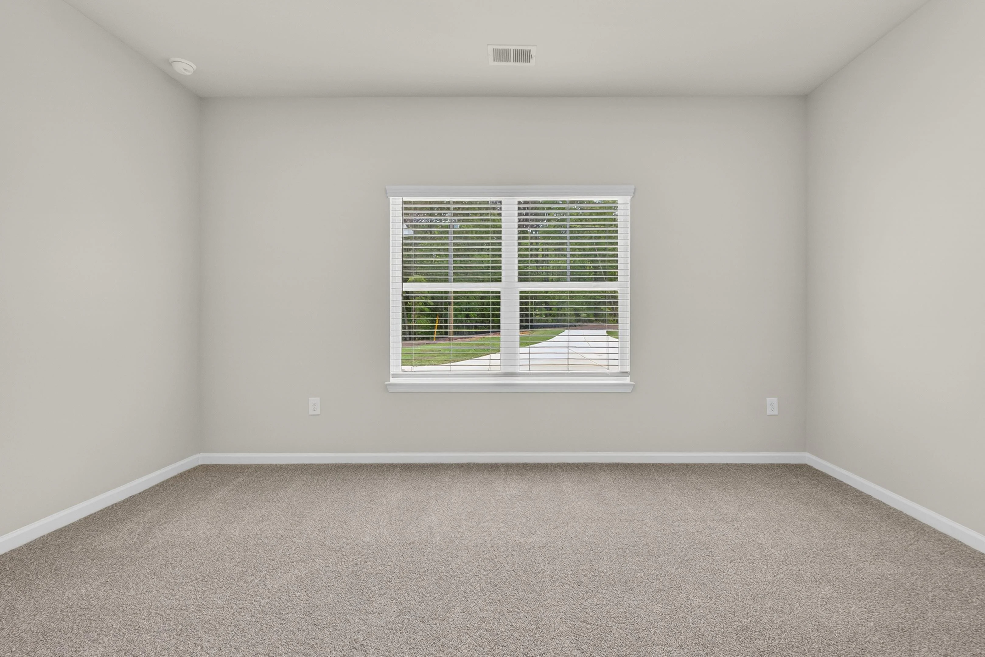 Gallery Photo 6