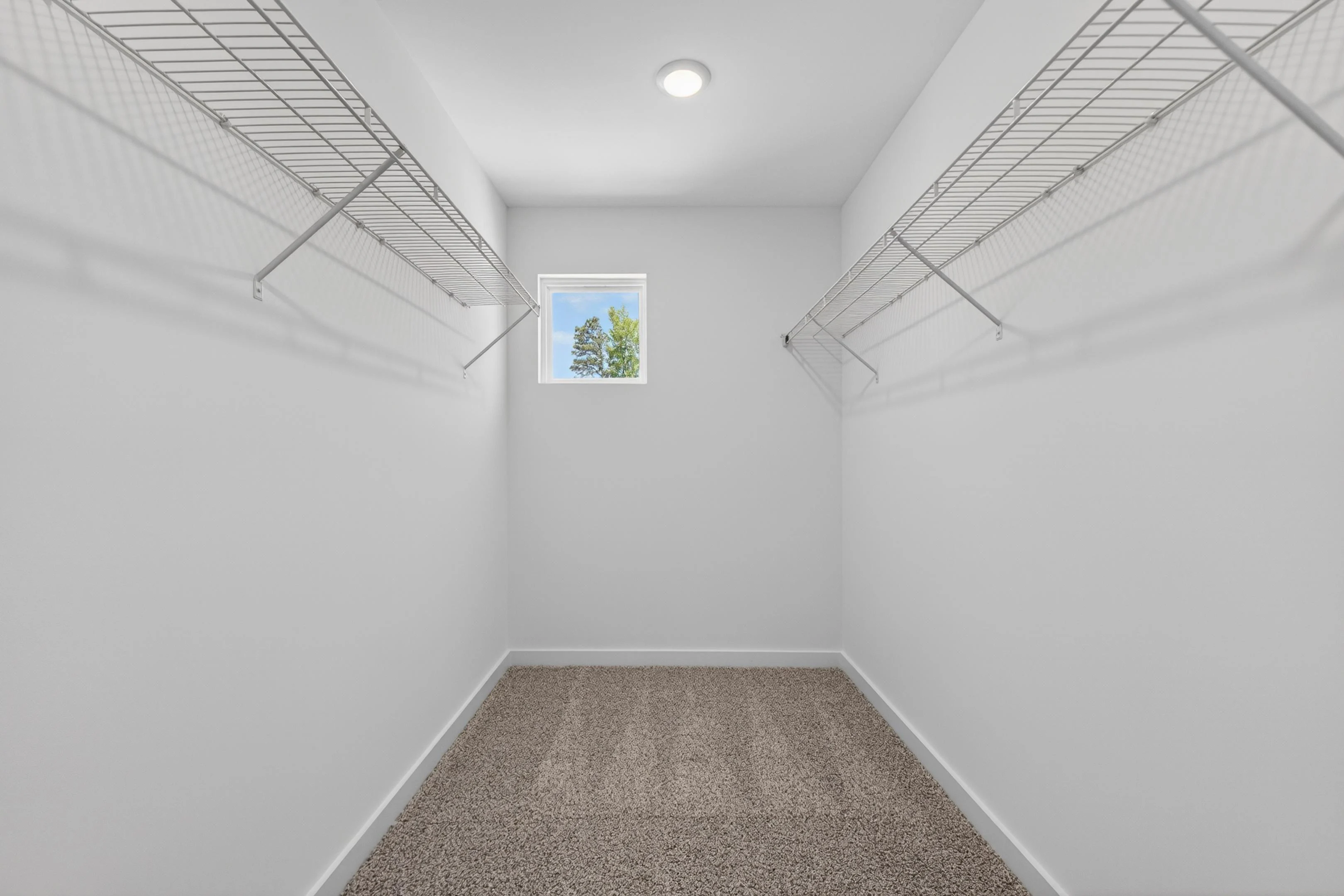 Gallery Photo 8