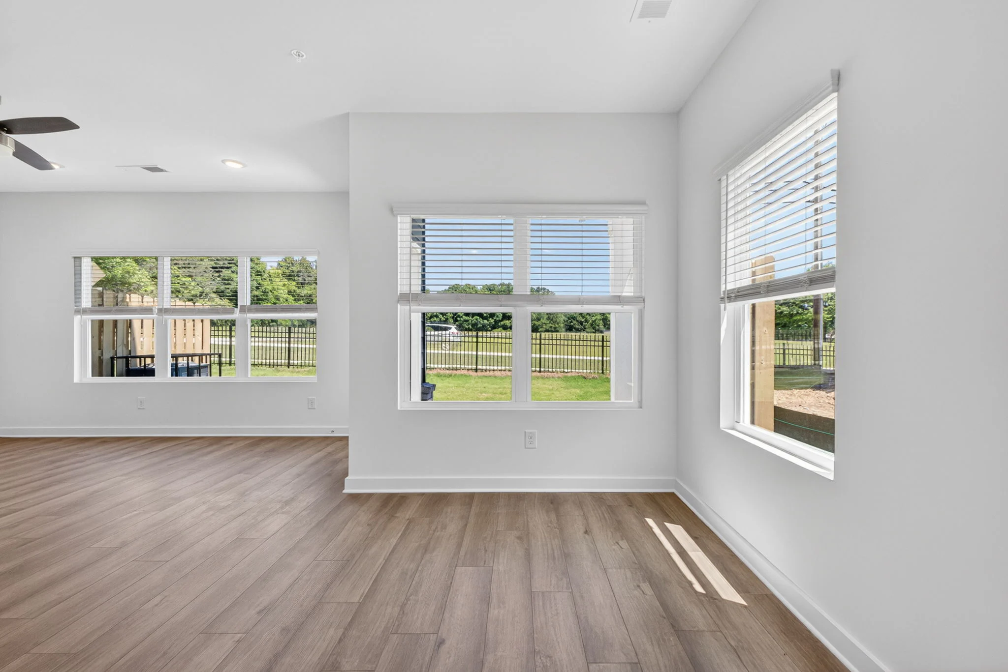 Gallery Photo 19