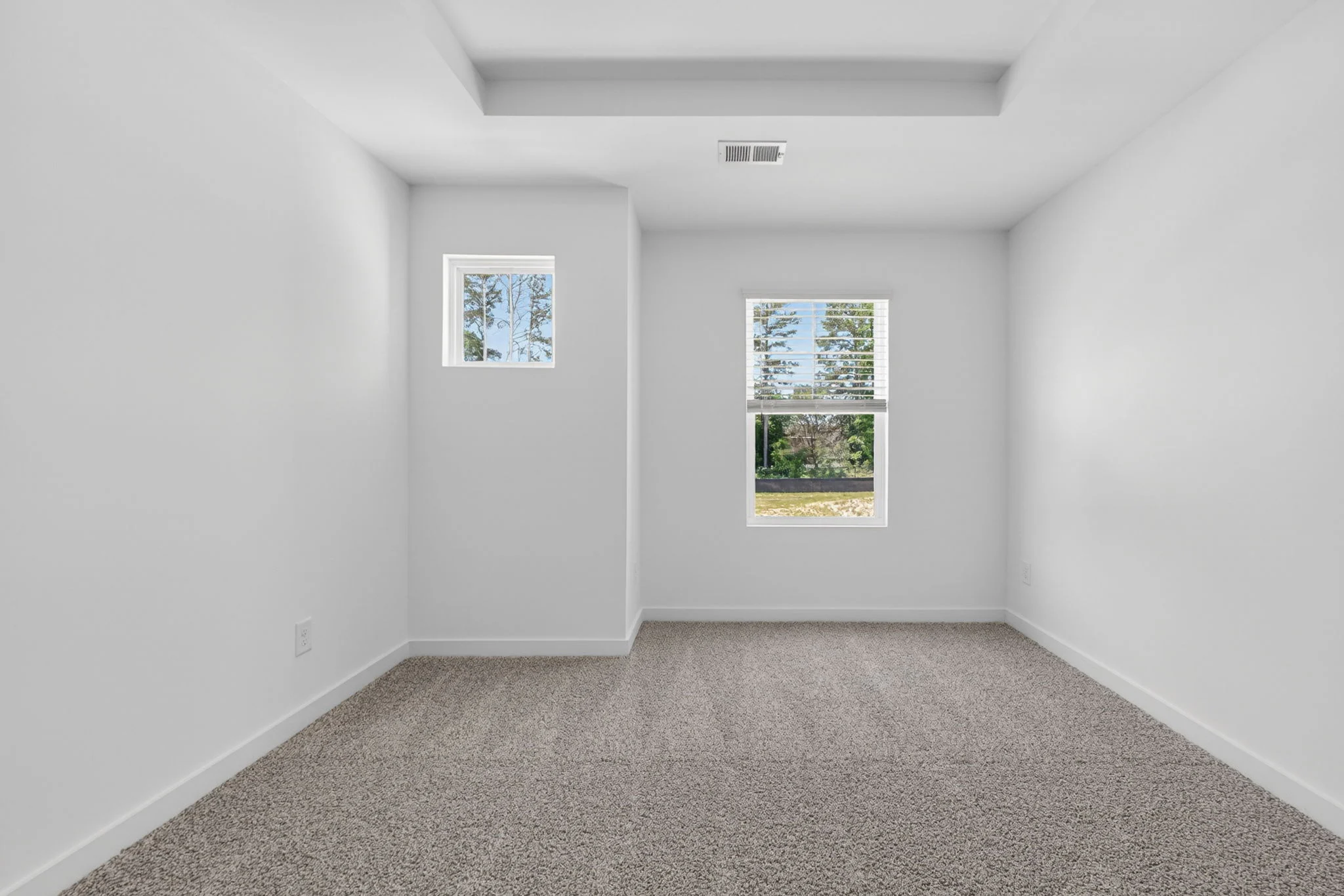 Gallery Photo 5