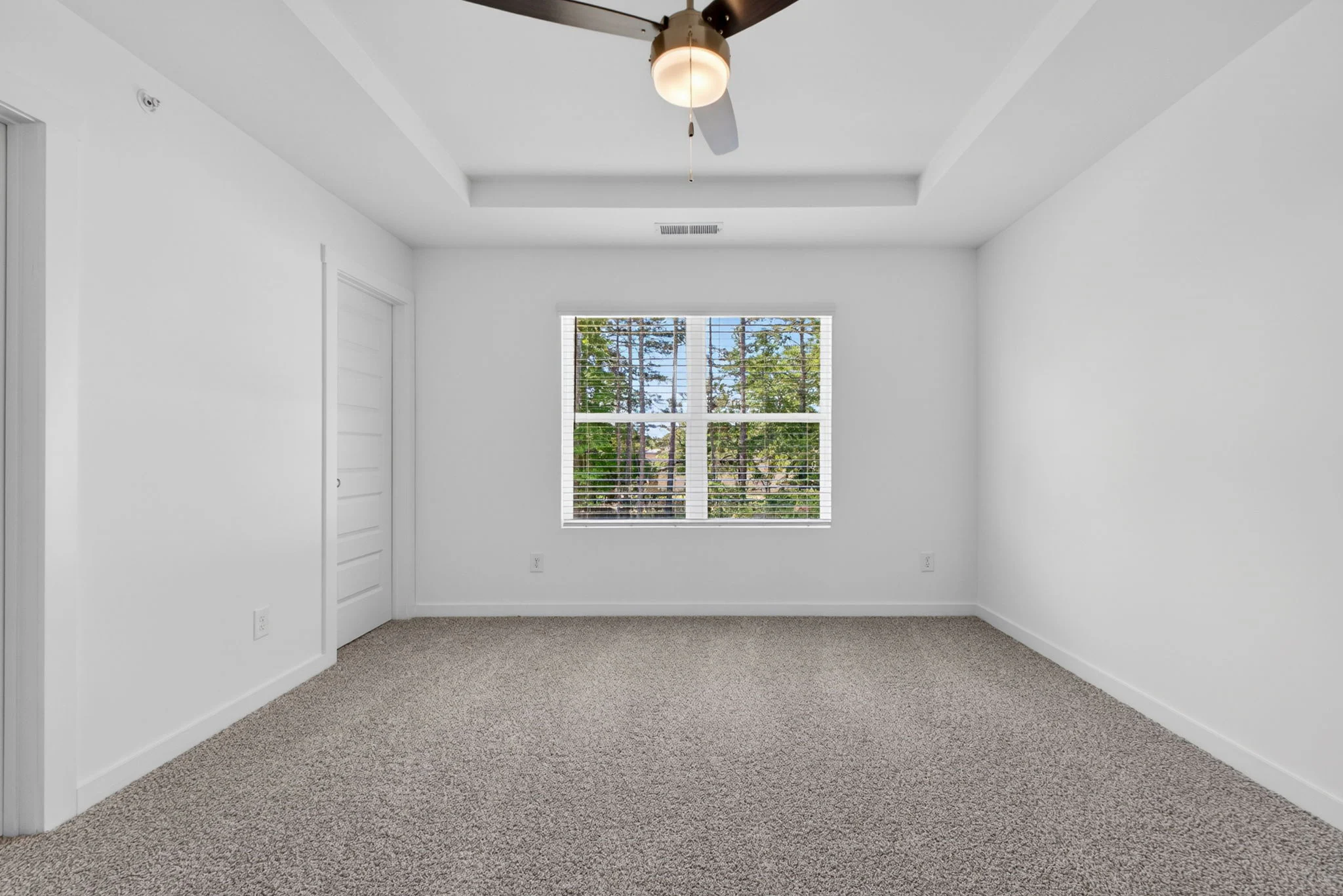 Gallery Photo 14
