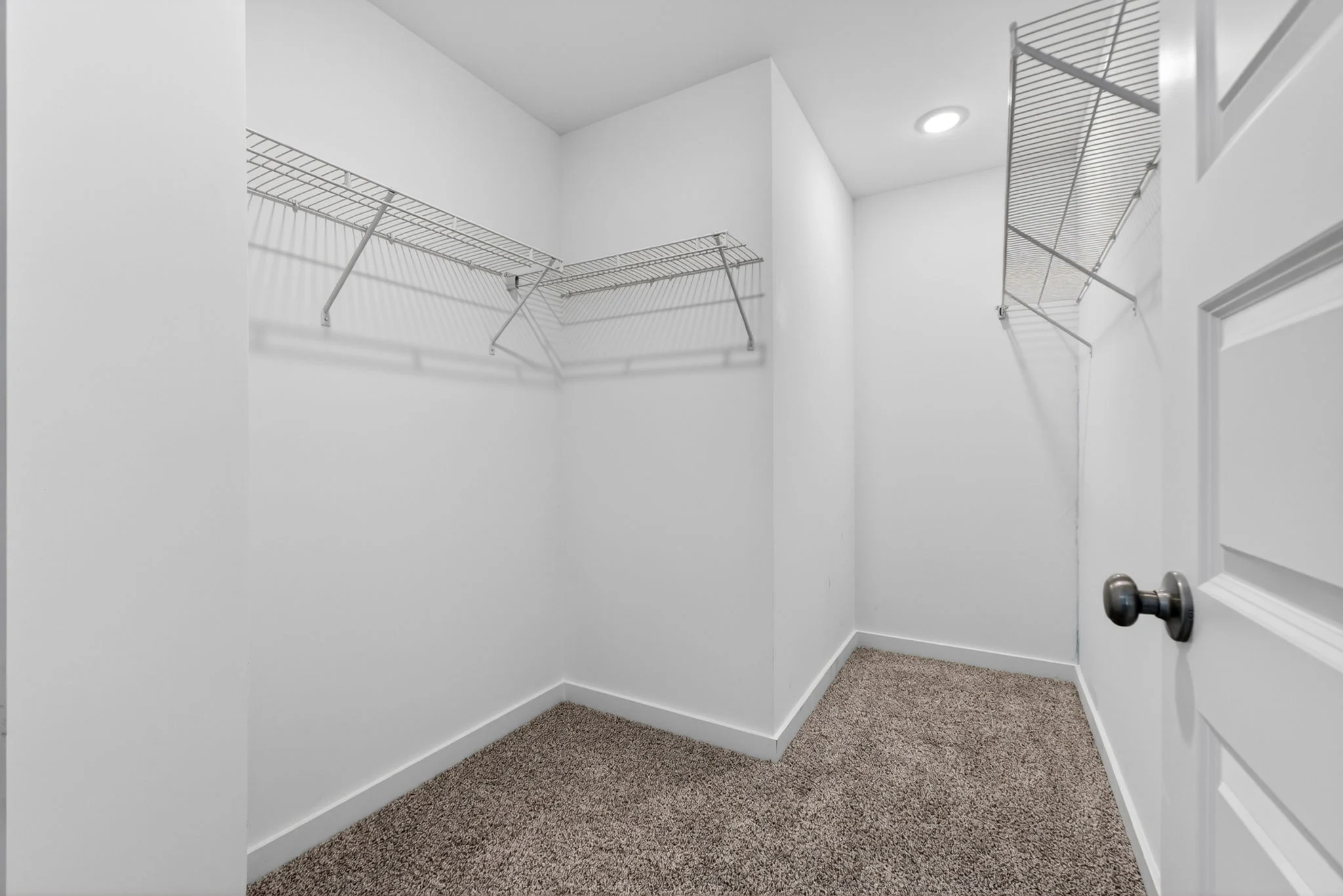Gallery Photo 10