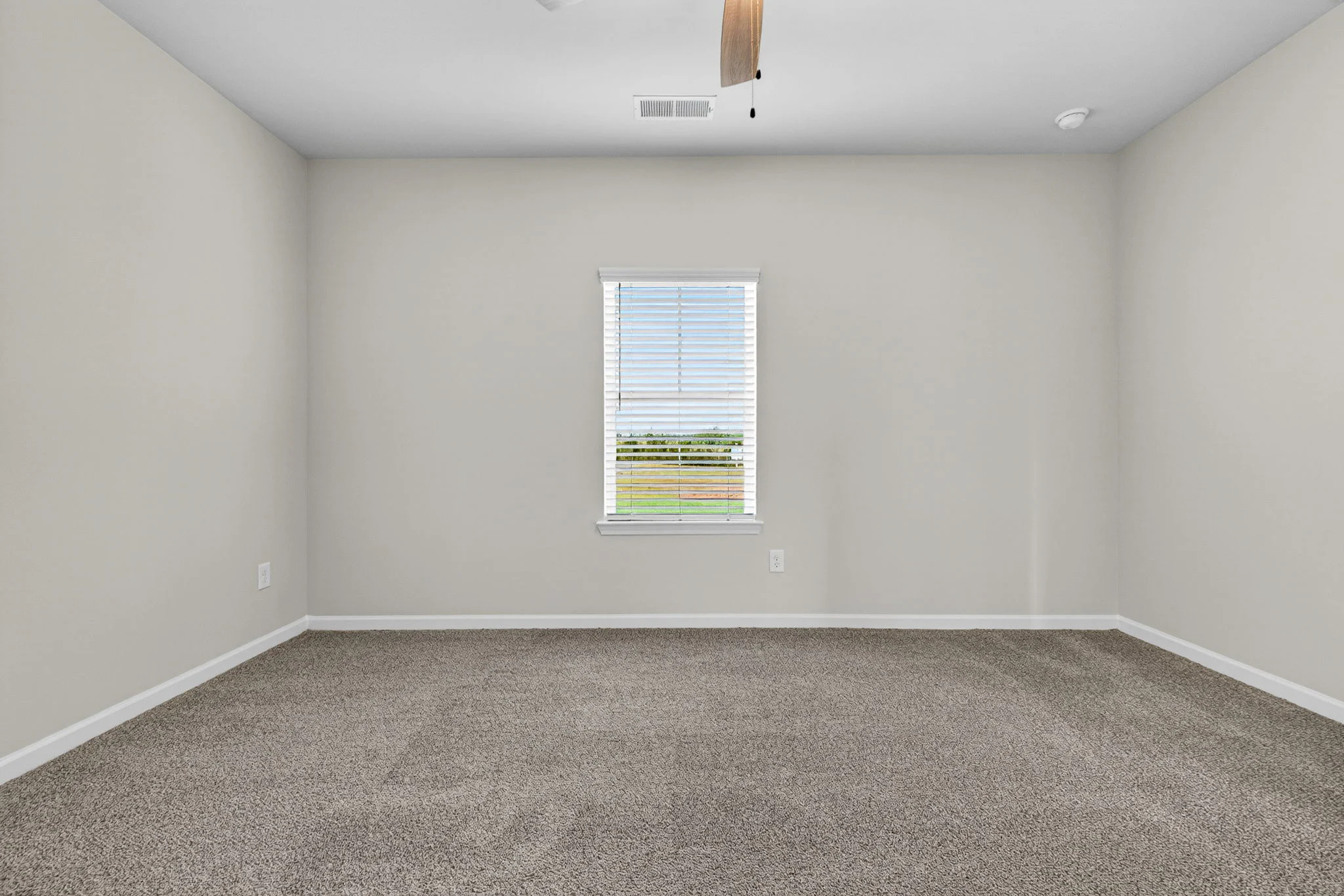 Gallery Photo 13