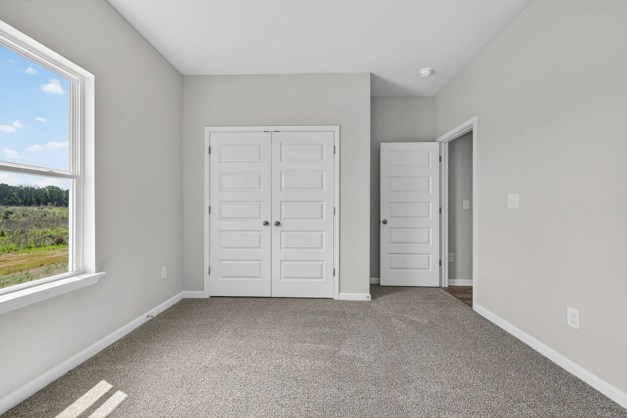 Gallery Photo 4