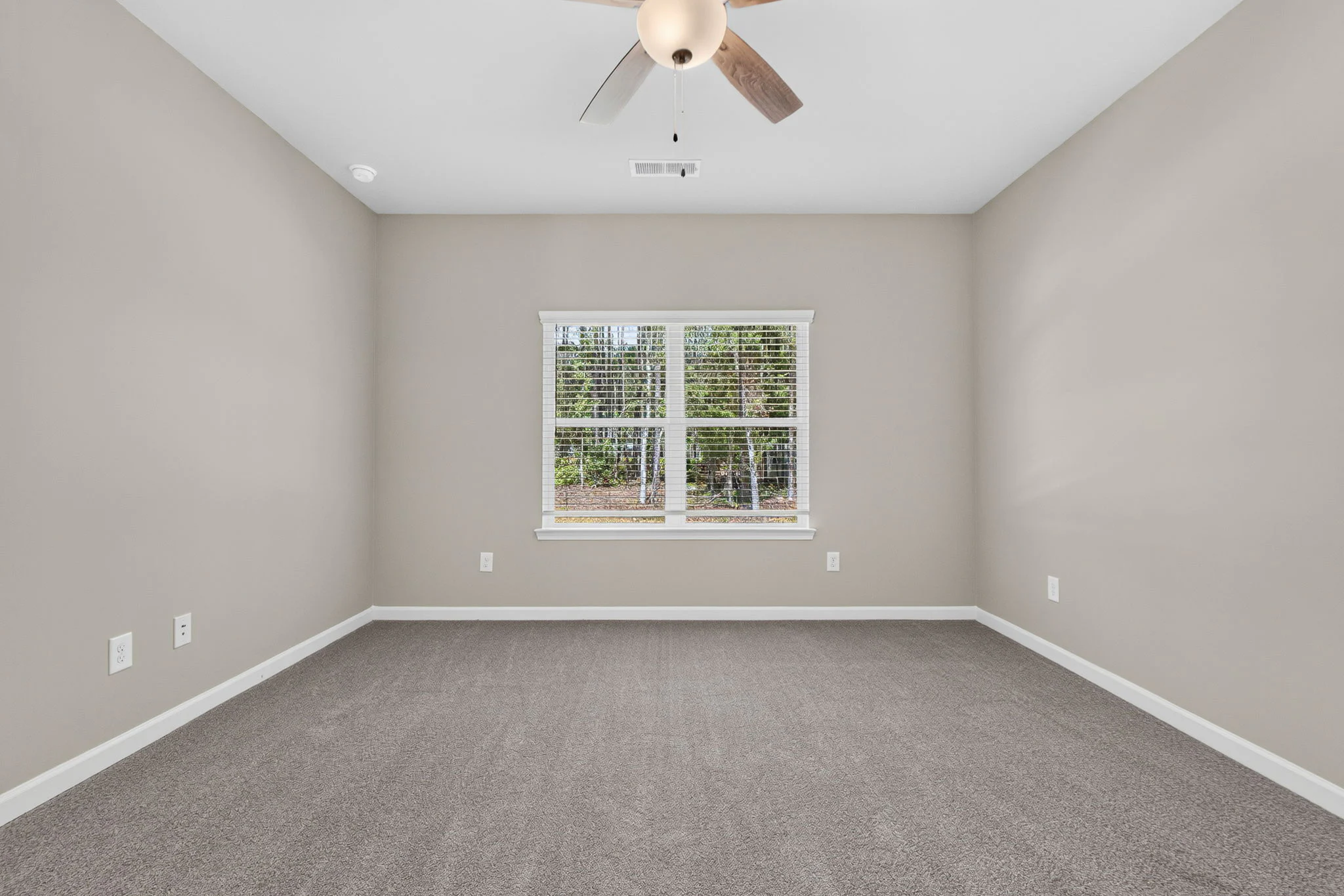 Gallery Photo 23