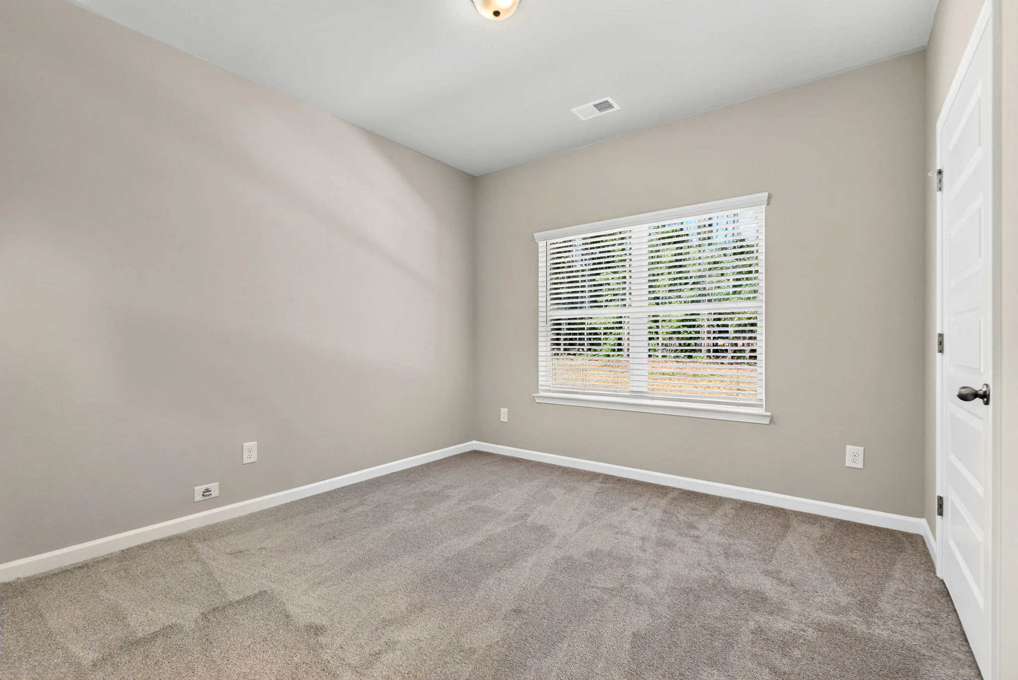 Gallery Photo 19