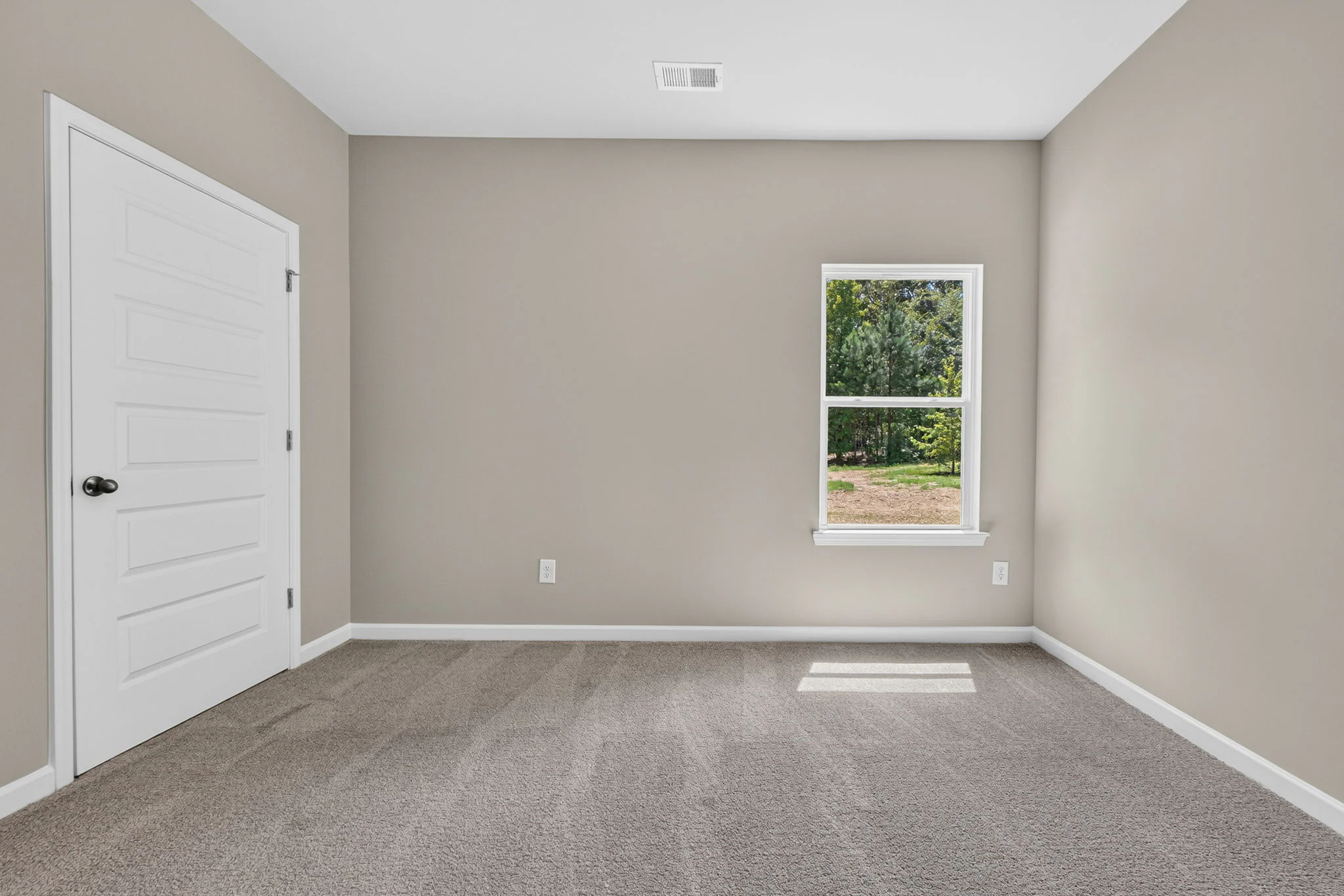 Gallery Photo 15