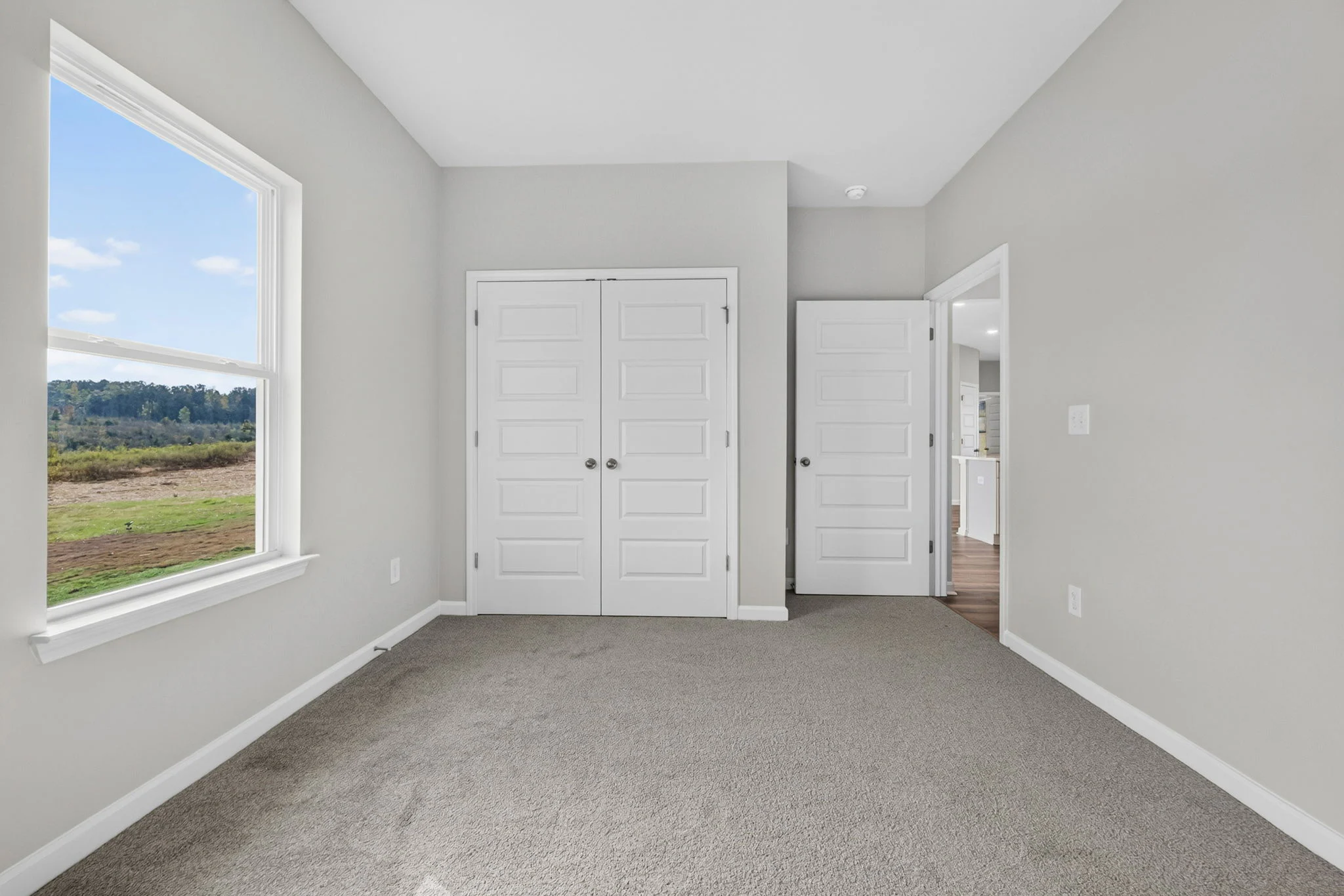Gallery Photo 15