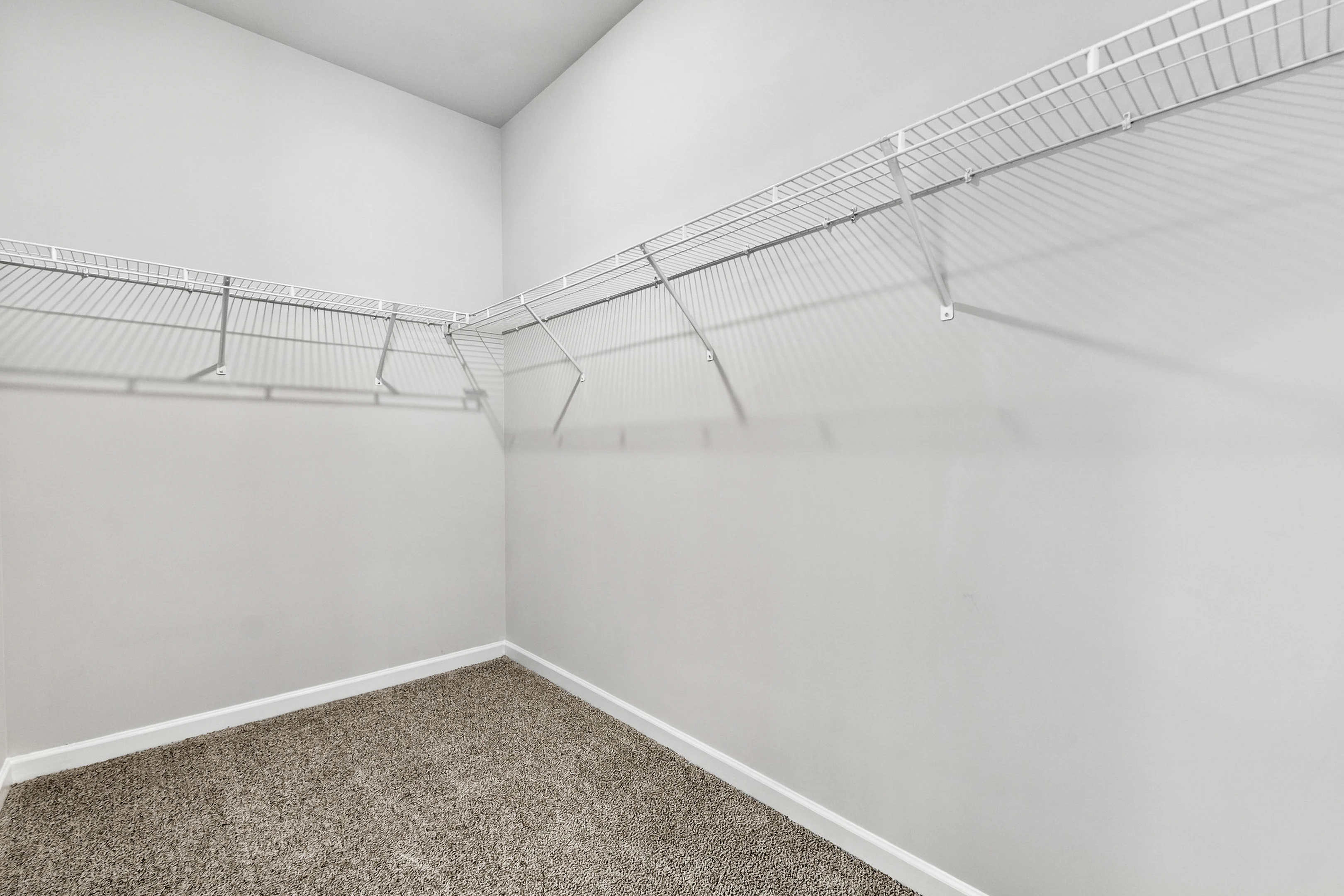 Gallery Photo 36