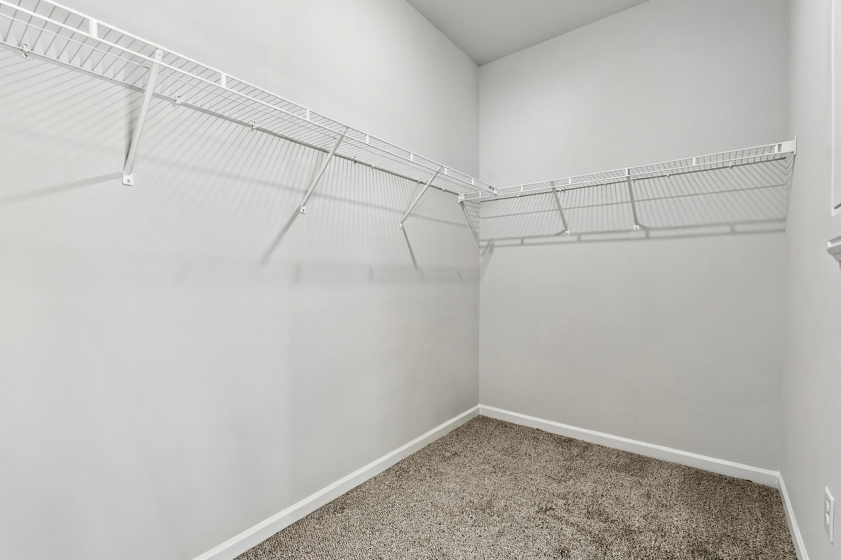 Gallery Photo 34