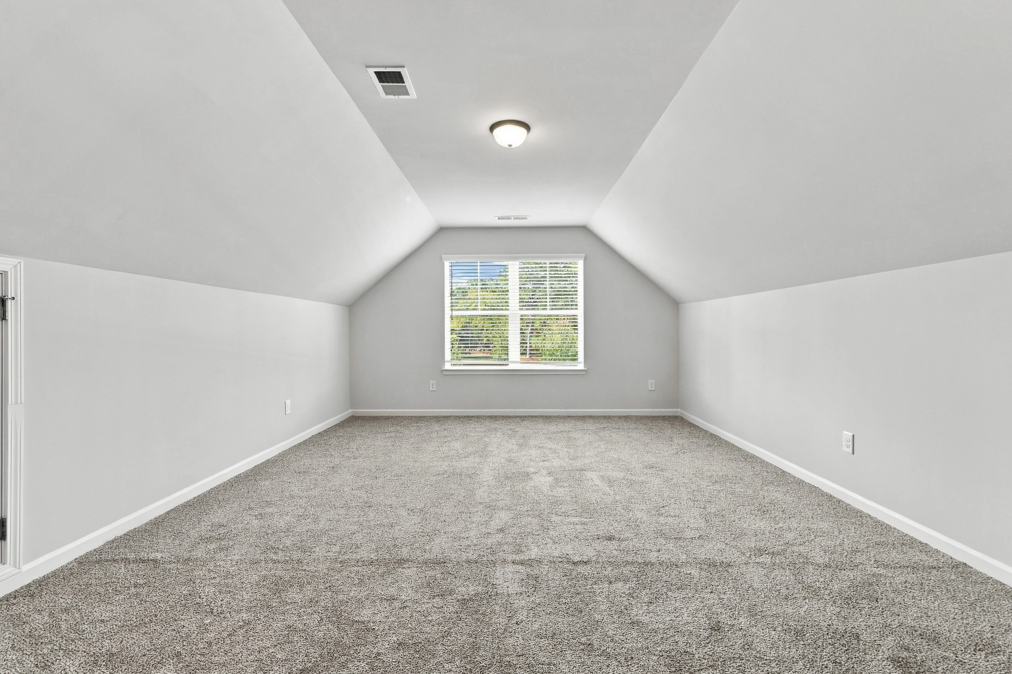 Gallery Photo 17