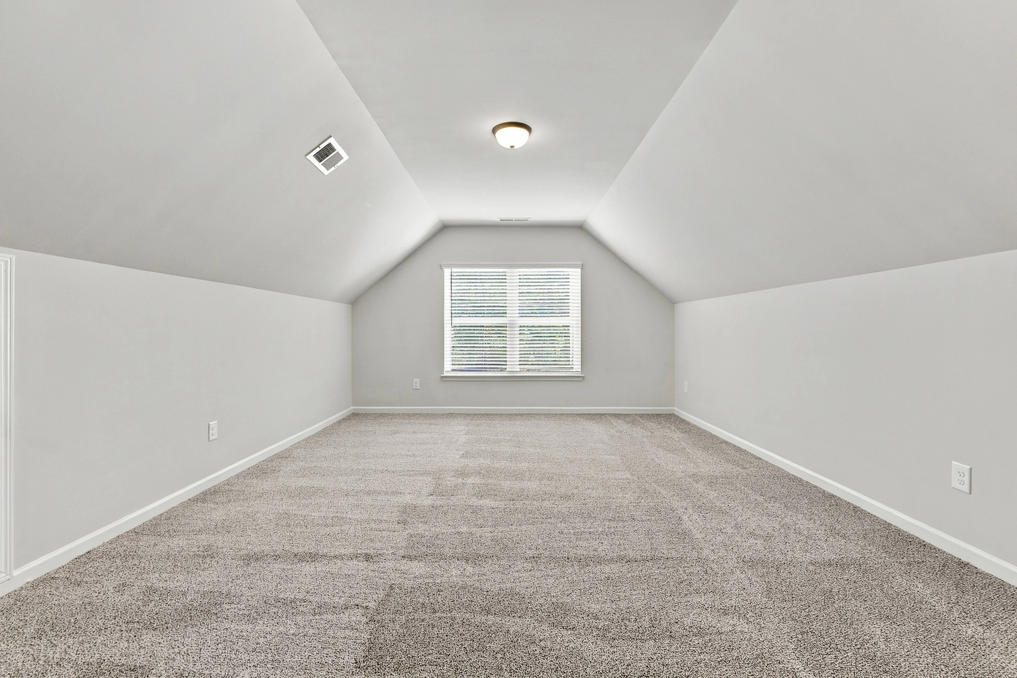 Gallery Photo 11