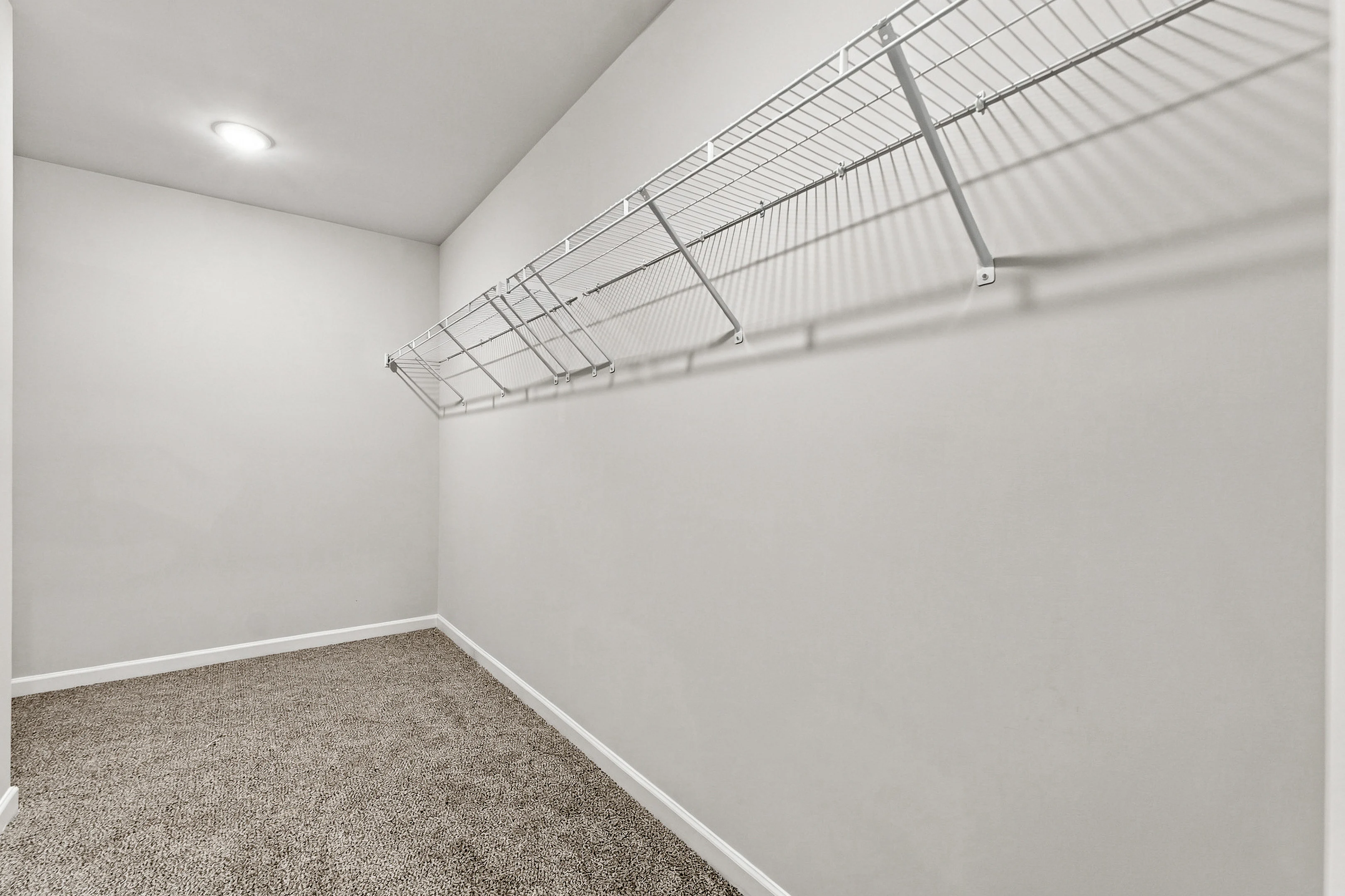 Gallery Photo 9